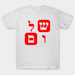 Hebrew Word for Peace Shalom Hebrew Letters Red Aesthetic T-Shirt